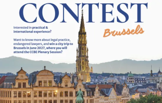 Amicus Curiae Contest
